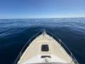 Black Watch 26 Sport Fish