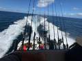 Black Watch 26 Sport Fish