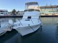 Black Watch 26 Sport Fish