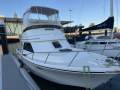 Black Watch 26 Sport Fish