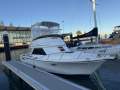 Black Watch 26 Sport Fish