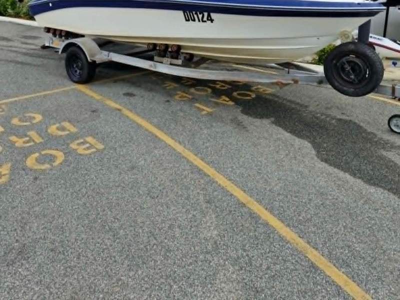 Panther 5.5 Cabin Cruiser