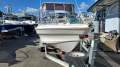 Markham 522 BR Limited Edition With Honda 115HP 4-Stroke (Serviced in Jan!)