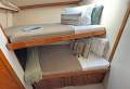 Luhrs 38 Convertible A fishing machine with family friendly luxury too