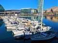 DARLING HARBOUR MARINA - COCKLE BAY WHARF - SYDNEY CITY CBD