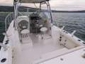 Trophy 2502 Walkaround LOW HOURS, BRILLIANT CONDITION, BIG UPGRADES!!