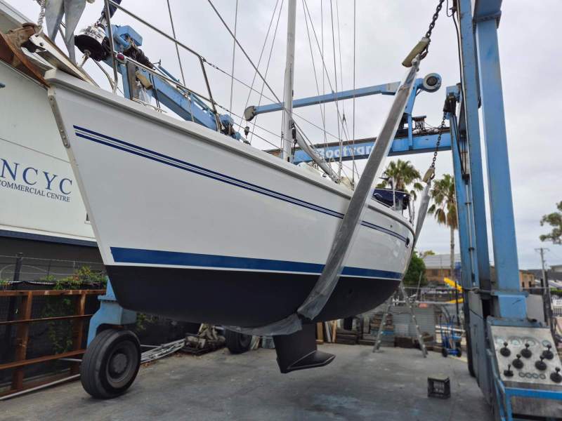 Catalina 375