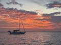 Gulfstar 44