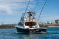 Black Watch 40 Flybridge Sport Fisher