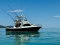 Black Watch 40 Flybridge Sport Fisher