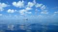 Farr 36
