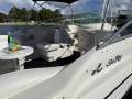 Sea Ray 280 Bowrider - Twin V8 Power!