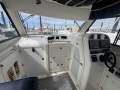 Powercat 3100 Platinum Series