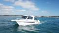 Powercat 3100 Platinum Series
