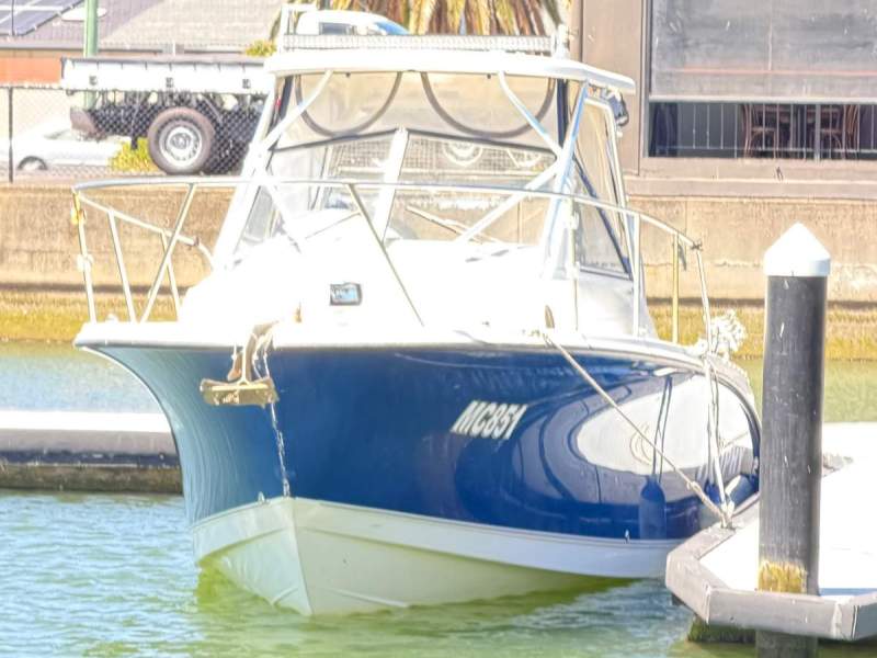 Bayliner Trophy Pro Walkaround
