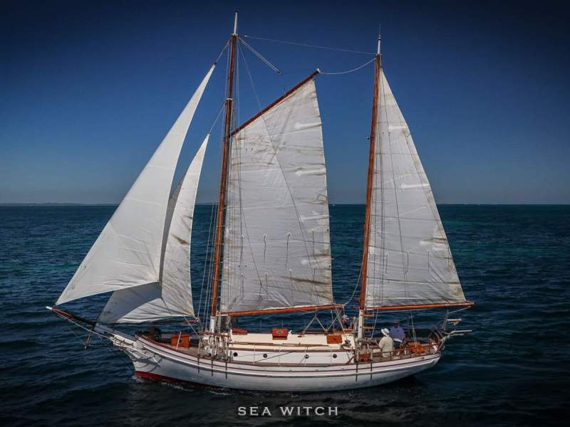 Hugh Angelman ~ Sea Witch