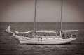 Hugh Angelman ~ Sea Witch