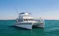 Scimitar 1010 Power Catamaran