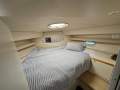 Cruisers Yachts 3650
