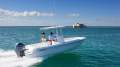 New Contender 24 Sport