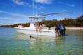 New Contender 24 Sport