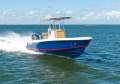 New Contender 24 Sport