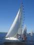 Jeanneau Sun Odyssey 29.2 Swing Keel