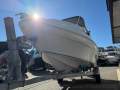 Haines Signature 500C Just serviced Yamaha motor showing just 436 hours