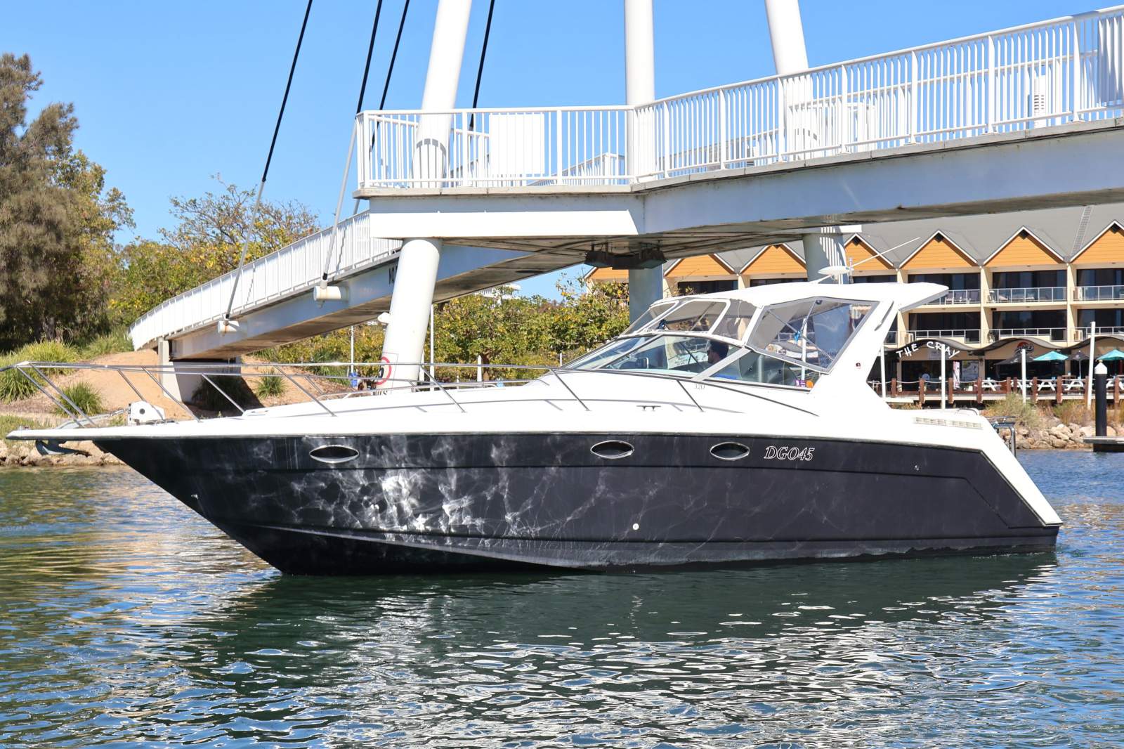 Regal 32 Commodore