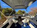 Seaswirl Striper 202