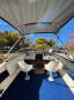 Seaswirl Striper 202