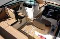 Sea Ray 190 SPX OB Bowrider