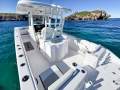 Twin Vee GFX2 280 CC - Demo Vessel