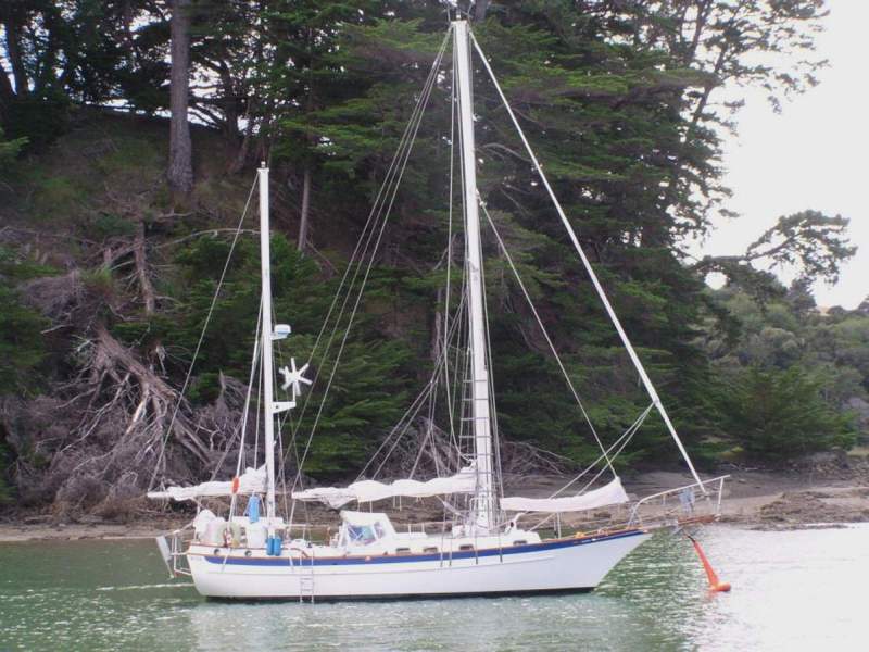 Cabo Rico Tiburion 36