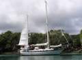 Cabo Rico Tiburion 36