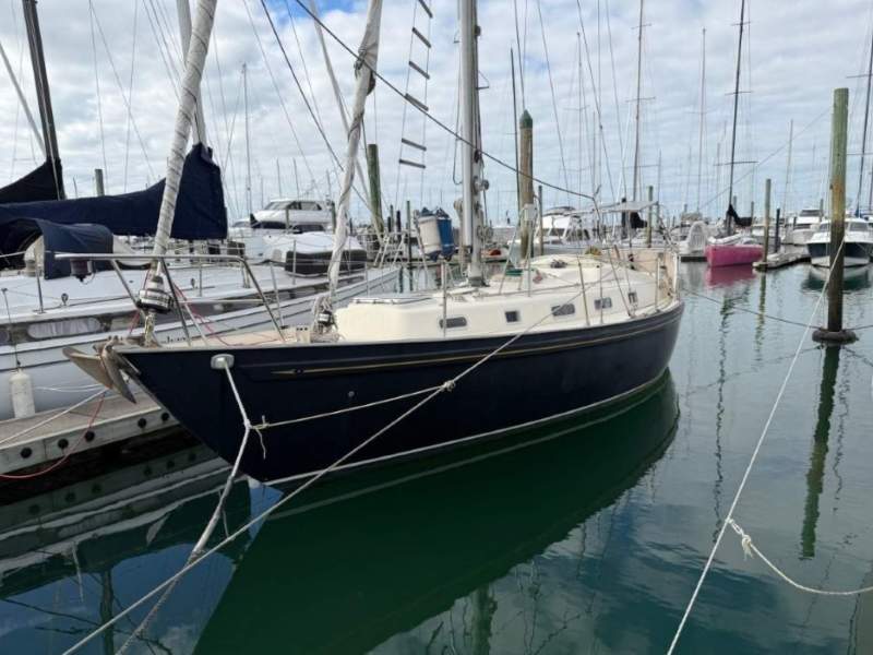 Rival 36