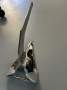 Anchor stainless steel