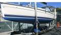 Hunter 33