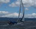 Pacific 38