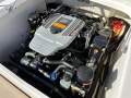 Chaparral Ssi 196