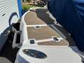 Chaparral Ssi 196