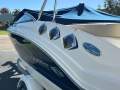 Chaparral Ssi 196