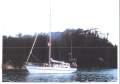 Lidgard 37