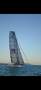 Nacra C36