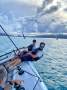 Nacra C36