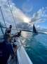 Nacra C36