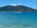Nacra C36