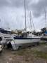 Wharram Tiki 38