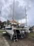 Wharram Tiki 38