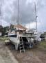 Wharram Tiki 38